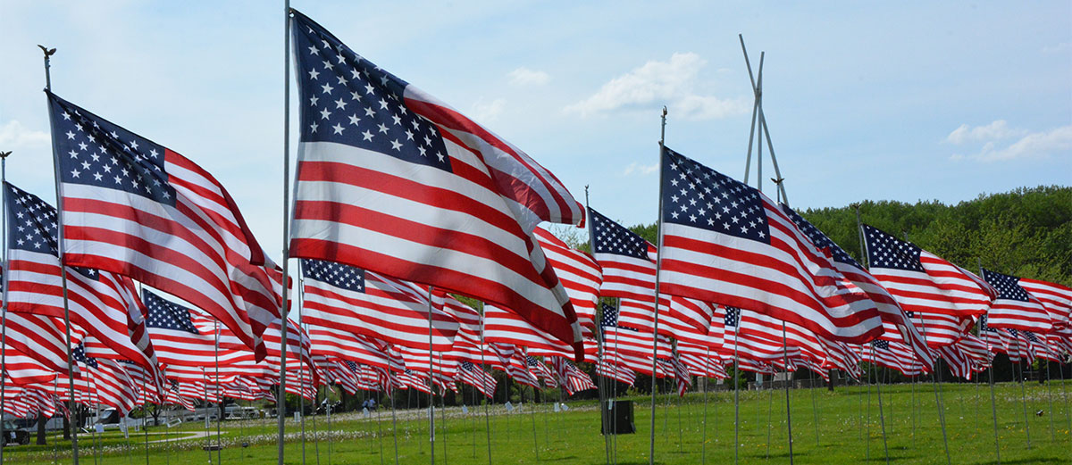 Field of american flags